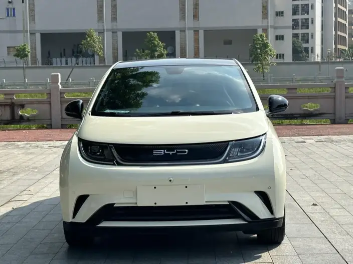 BYD Dolphin 2023 Model Fashion Edition