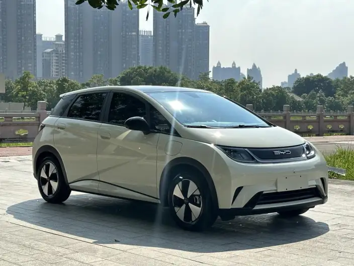 BYD Dolphin 2023 Model Fashion Edition