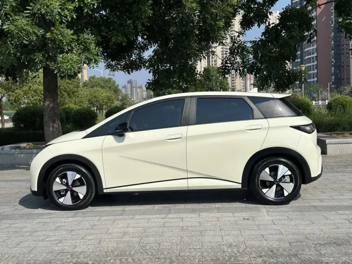 BYD Dolphin 2023 Model Fashion Edition