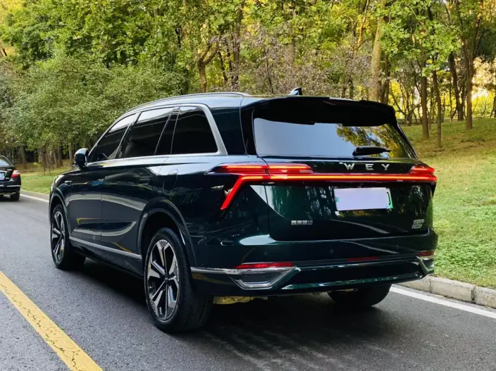 Wey Blue Mountain 2023 Model 4WD Ultra-long Endurance – фото 5