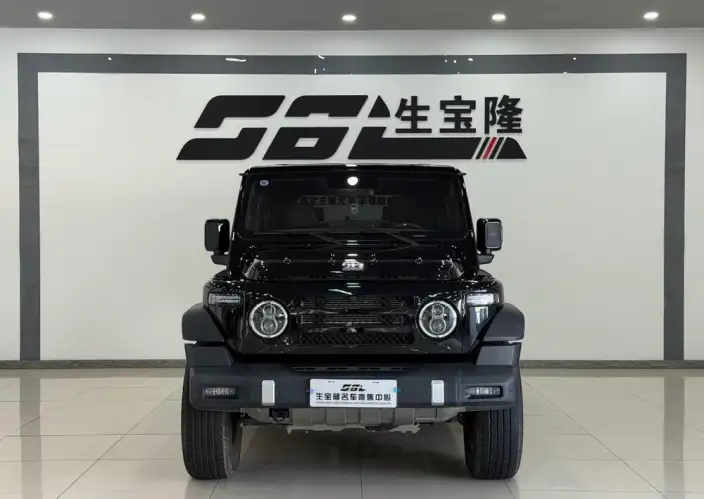 212 T01 2025 Model 2.0T Diesel Edition – фото 2