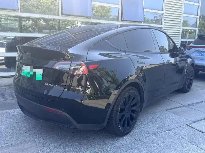 Model Y 2023 Model Rear-wheel drive version – фото 6