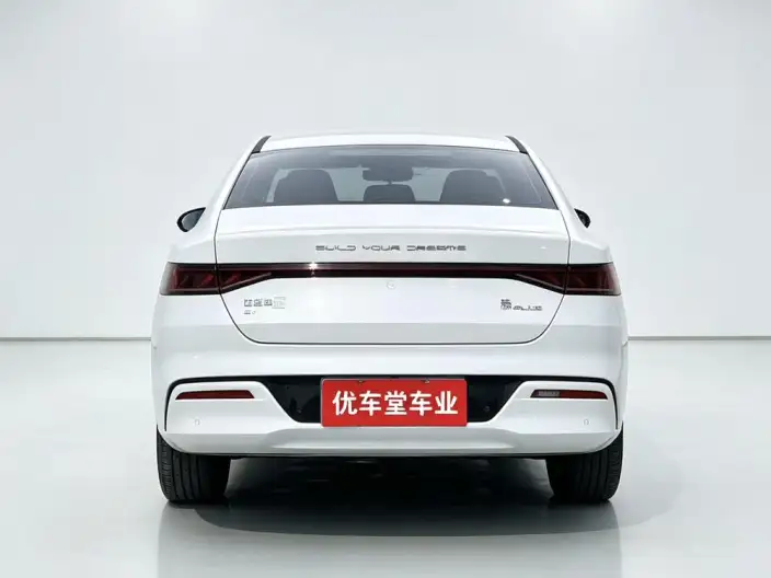 Qin Plus EV 2024 Model Honor Edition 510KM Leading Model – фото 6