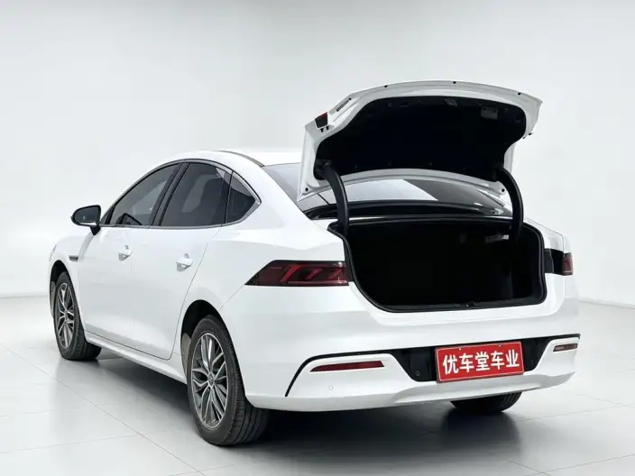 Qin Plus EV 2024 Model Honor Edition 510KM Leading Model – фото 9