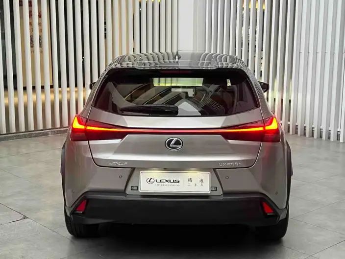 Lexus UX 2022 Model 260h Tan · Fun Edition