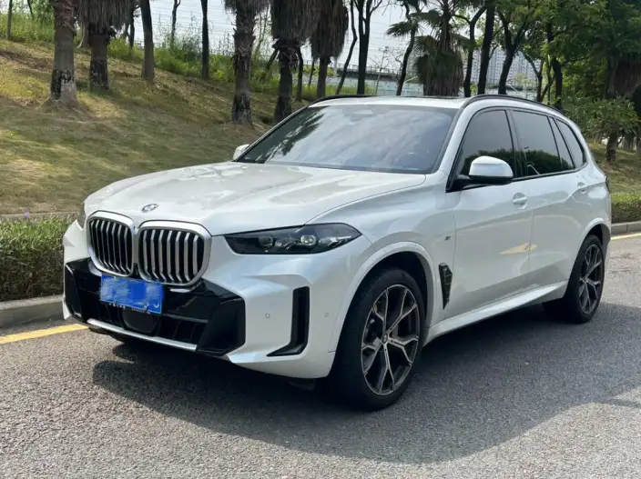 BMW X5 2023 Model xDrive30Li Exclusive Model M Sports Night Set