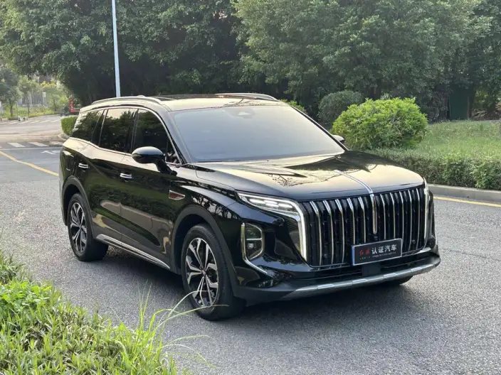 Hongqi HS7 2023 Model 2.0T 4WD Flag Enjoy Edition 6 seat