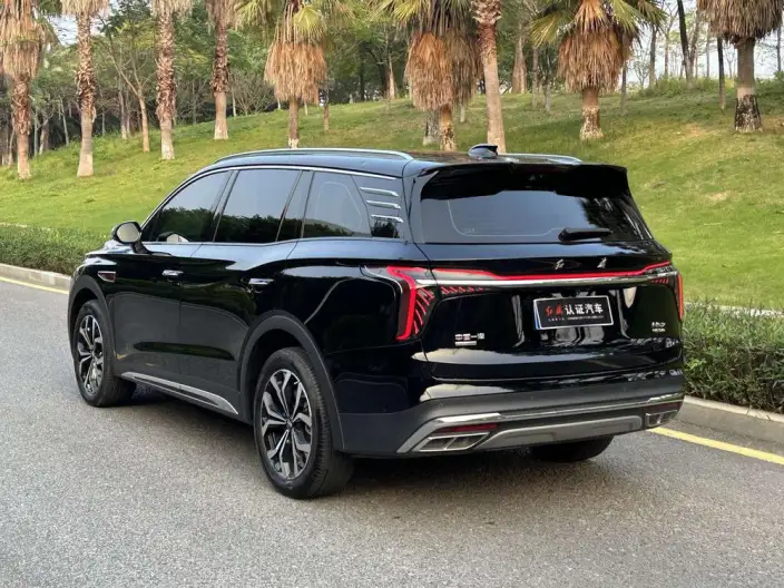 Hongqi HS7 2023 Model 2.0T 4WD Flag Enjoy Edition 6 seat