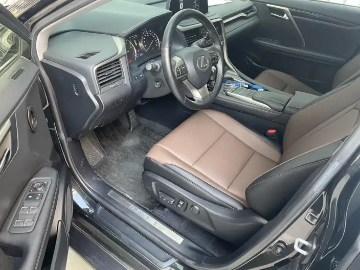 Lexus RX 2020 Model Facelift 300 2WD Elite Edition – фото 10