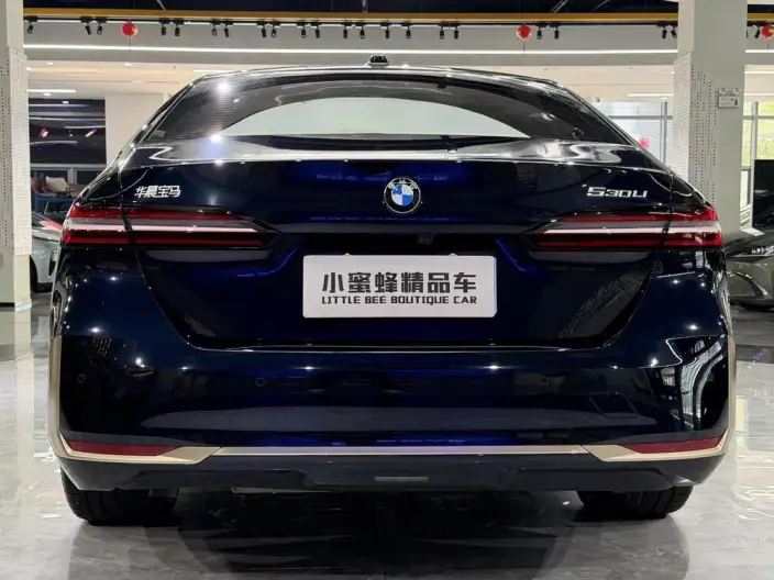 BMW 5 Series 2025 Model Facelift 530Li Exclusive Model Luxury Set – фото 5