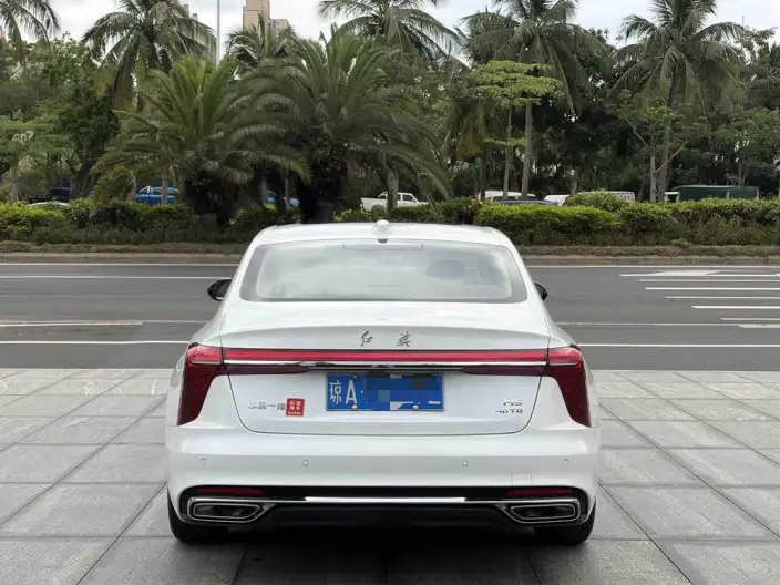 Hongqi H5 2023 Model 2.0T Automatic Flag Enjoy Edition – фото 5