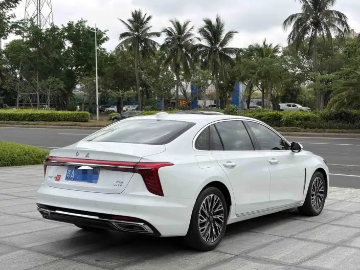 Hongqi H5 2023 Model 2.0T Automatic Flag Enjoy Edition – фото 6