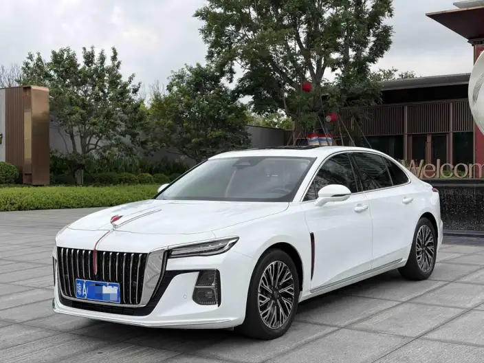 Hongqi H5 2023 Model 2.0T Automatic Flag Enjoy Edition – фото 10