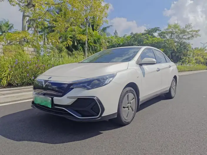 Venucia D60 EV 2022 Model PLUS RI Model Comfort Edition – фото 1