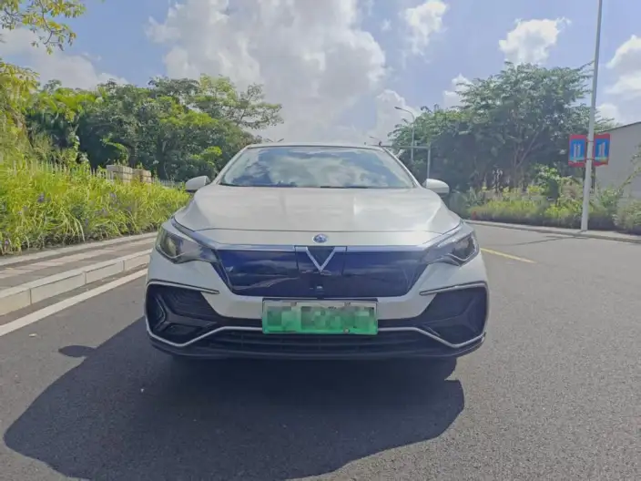 Venucia D60 EV 2022 Model PLUS RI Model Comfort Edition – фото 2