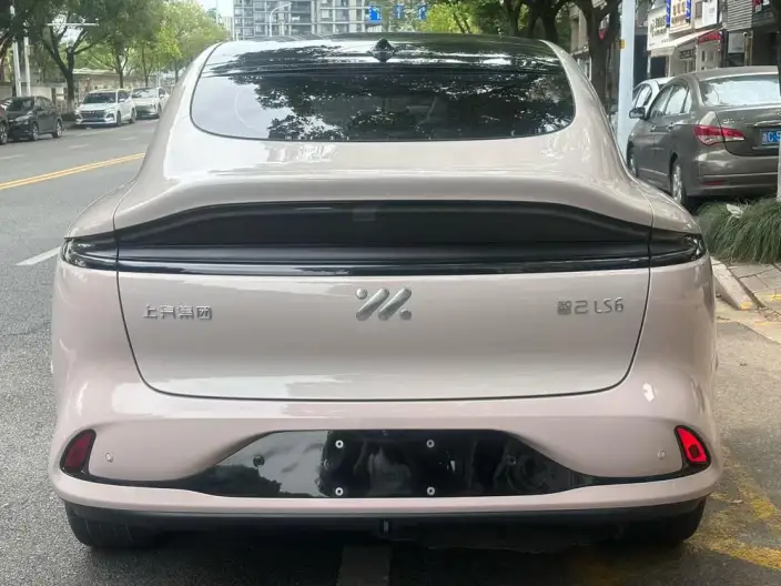 IM LS6 2023 Model Max Standard Edition – фото 5
