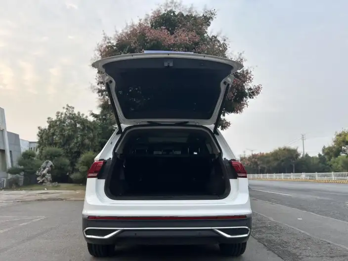 Volkswagen Tiguan L 2021 Model 330TSI Automatic 2WD Smart Edition – фото 10