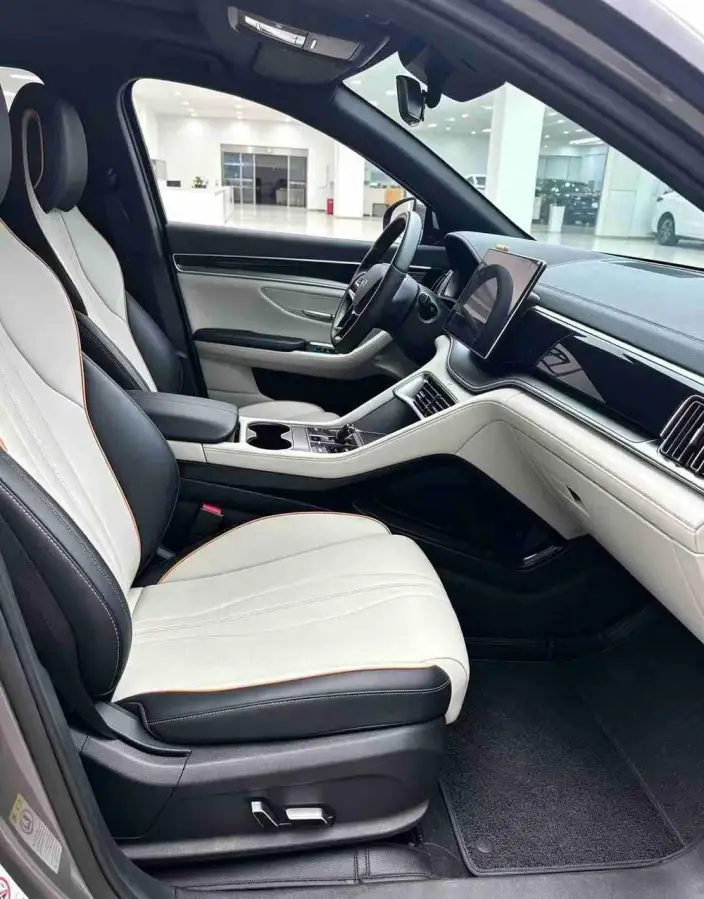 BYD Song PLUS EV 2023 Model Champion Edition 520KM Noble Model – фото 10