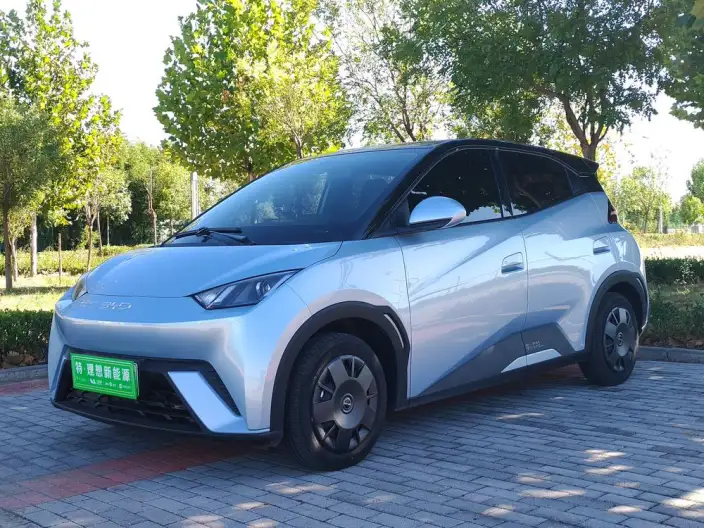 BYD Seagull 2024 Model Honor Edition 305KM Vitality Edition