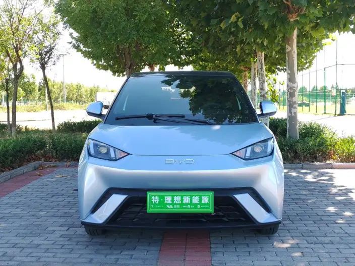 BYD Seagull 2024 Model Honor Edition 305KM Vitality Edition
