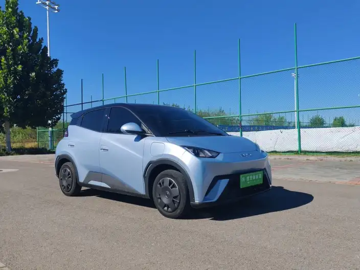 BYD Seagull 2024 Model Honor Edition 305KM Vitality Edition