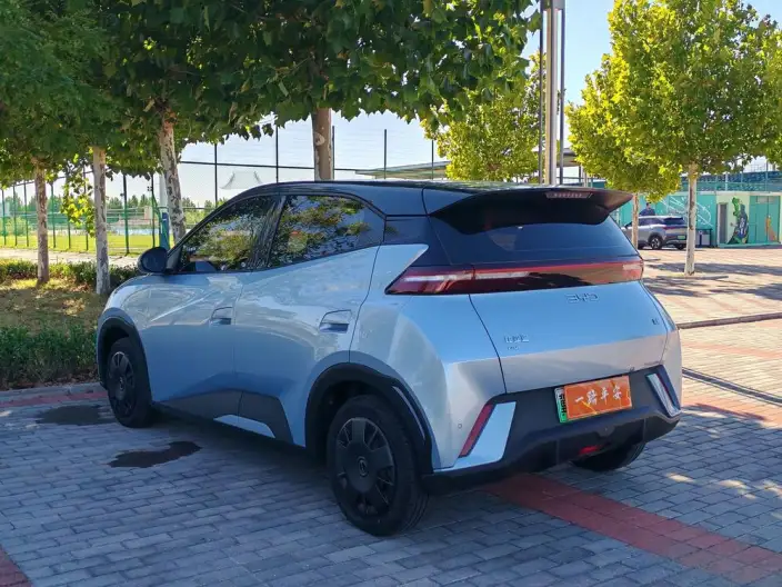 BYD Seagull 2024 Model Honor Edition 305KM Vitality Edition