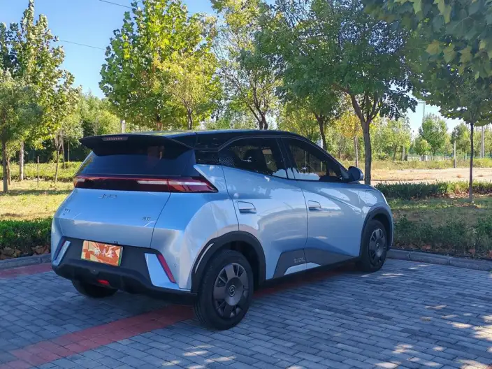 BYD Seagull 2024 Model Honor Edition 305KM Vitality Edition – фото 6