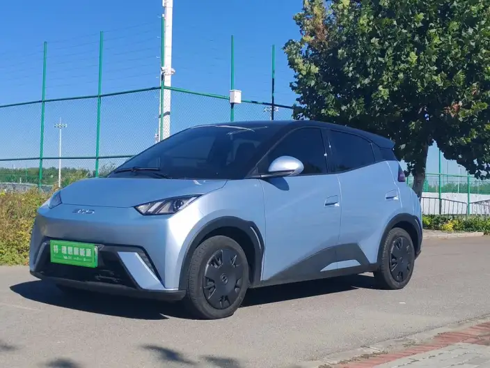 BYD Seagull 2024 Model Honor Edition 305KM Vitality Edition – фото 7
