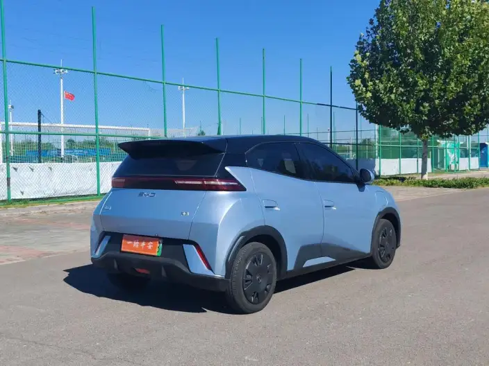 BYD Seagull 2024 Model Honor Edition 305KM Vitality Edition – фото 10