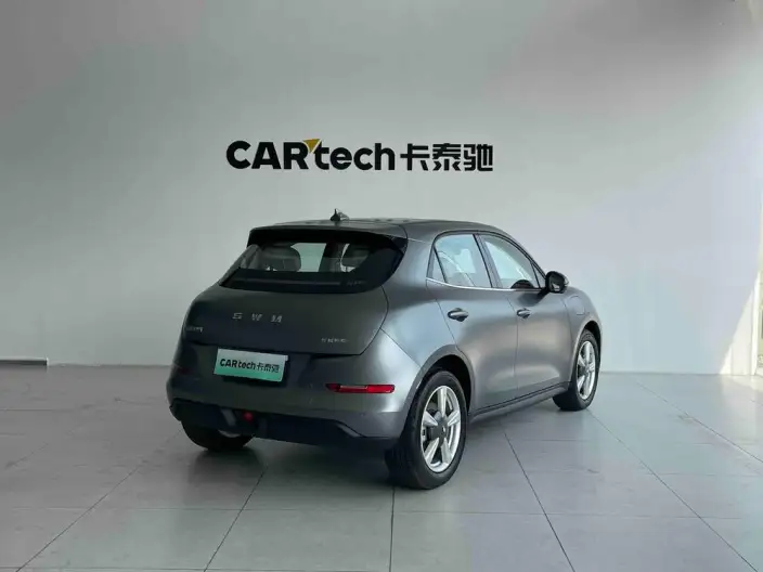 ORA Good Cat 2025 Model 430km Zunrong Model – фото 6