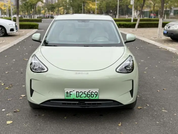 Geely Galaxy StarWish 2025 Model 310km Youth Edition