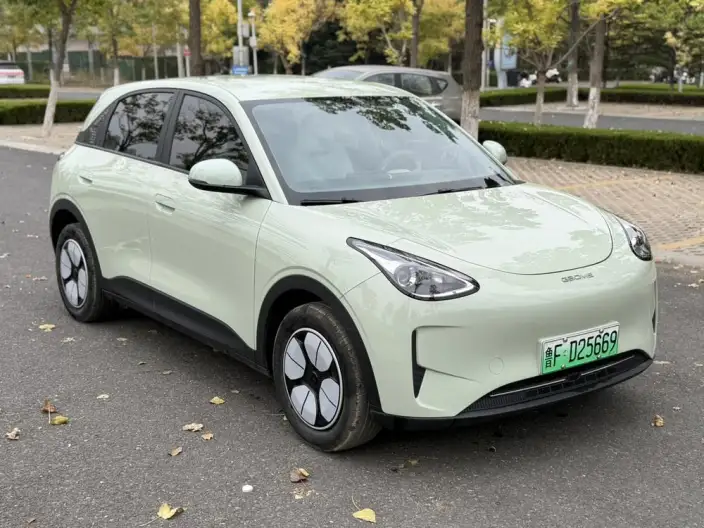 Geely Galaxy StarWish 2025 Model 310km Youth Edition