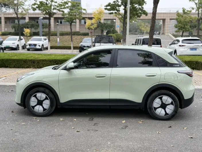 Geely Galaxy StarWish 2025 Model 310km Youth Edition