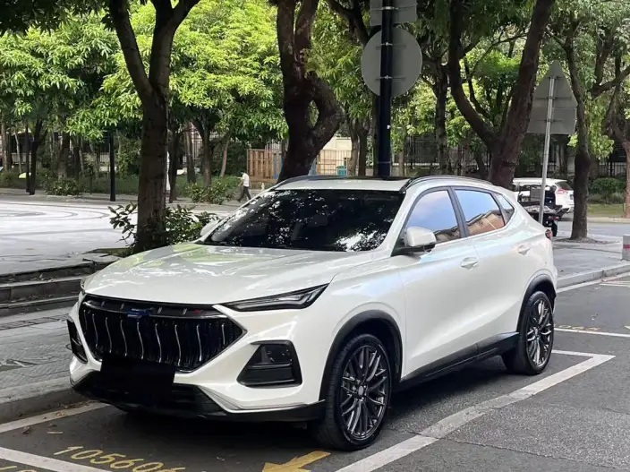 Changan Oshan X5 2021 Model 1.5T DCT Flagship Model – фото 1