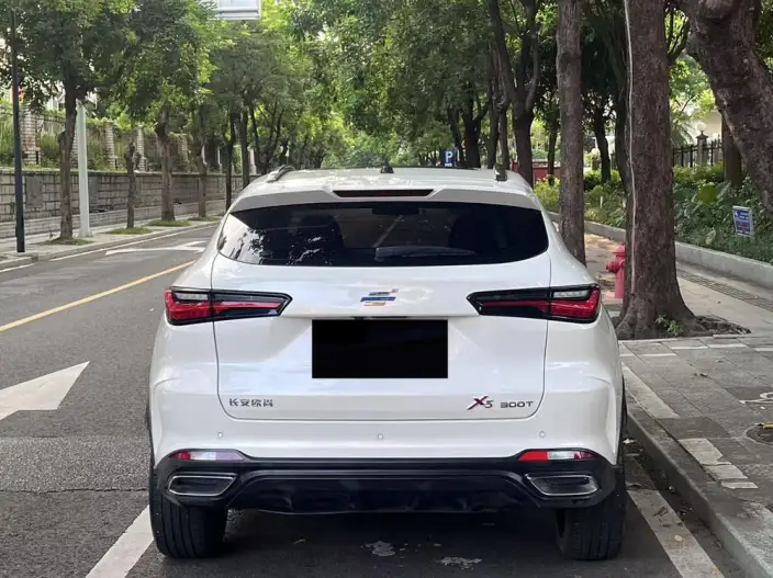 Changan Oshan X5 2021 Model 1.5T DCT Flagship Model – фото 5