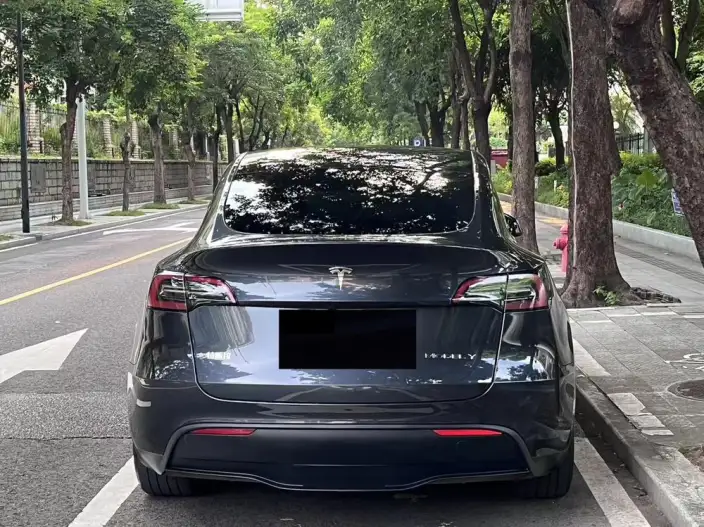 Model Y 2024 Model Rear-wheel drive version – фото 5