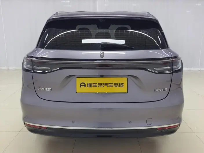 Sangyuan H5 2025 Model Extended Range Max – фото 6