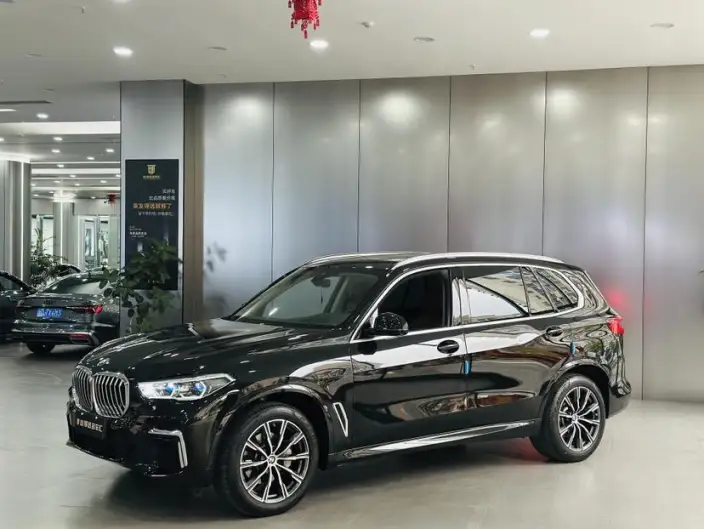 BMW X5 2022 Model Facelift xDrive 30Li Exclusive Model M Sports Set – фото 1