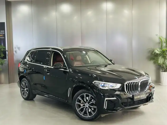 BMW X5 2022 Model Facelift xDrive 30Li Exclusive Model M Sports Set – фото 3