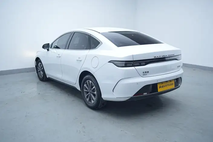 BYD Destroyer 05 2024 Model Honor Edition DM-i 55KM Luxury Model – фото 5