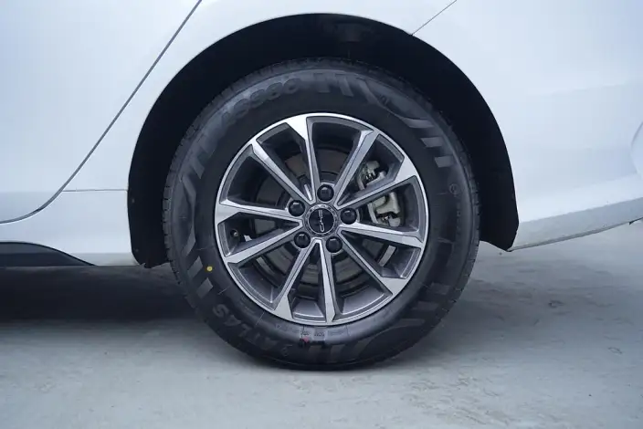 BYD Destroyer 05 2024 Model Honor Edition DM-i 55KM Luxury Model – фото 9