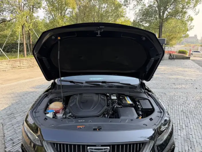 Geely StarRui 2021 Model 2.0T Luxury Model + – фото 9