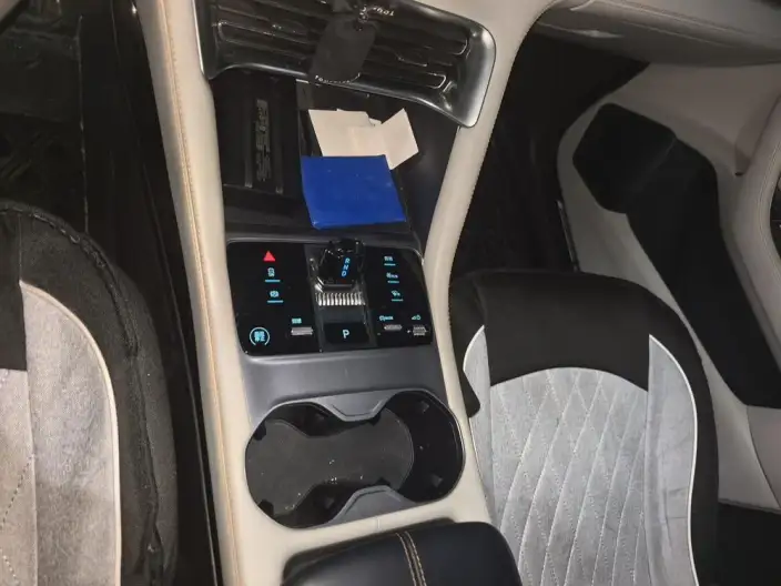 BYD Song PLUS EV 2023 Model Champion Edition 520KM Noble Model – фото 9