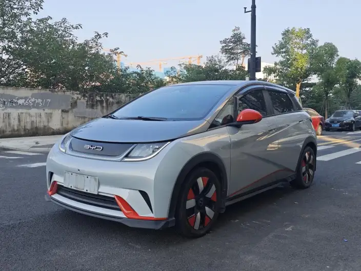 BYD Dolphin 2021 Model Knight Edition