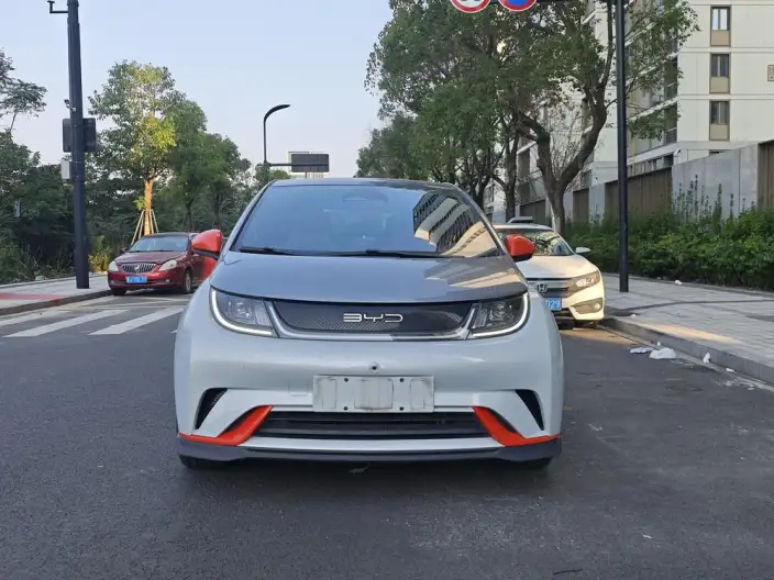 BYD Dolphin 2021 Model Knight Edition