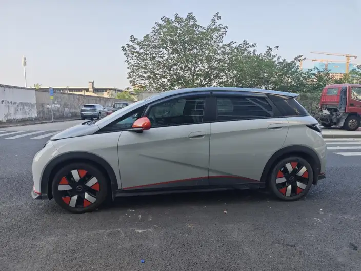 BYD Dolphin 2021 Model Knight Edition