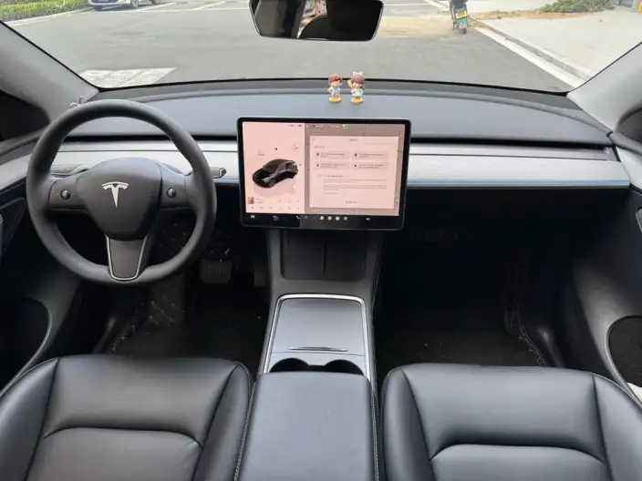 Model Y 2023 Model Rear-wheel drive version – фото 6