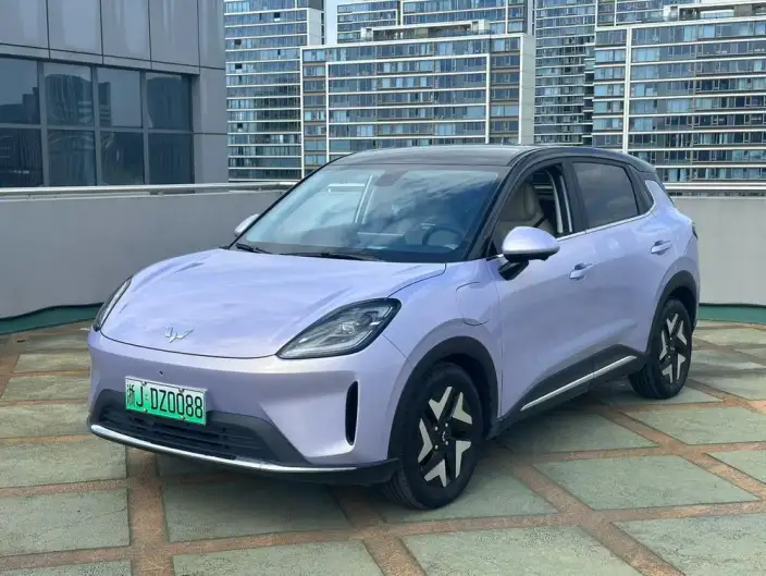 Wuling BingoS 2025 Model 430km Flagship Model
