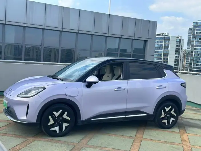 Wuling BingoS 2025 Model 430km Flagship Model