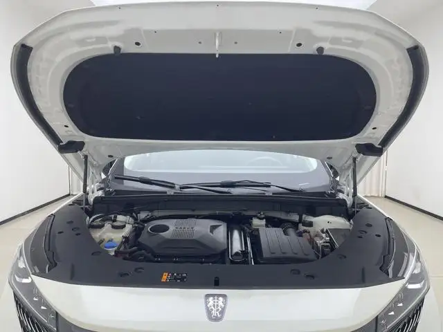 Roewe eRX5 2023 Model Chao Hybrid Comfort Edition – фото 10